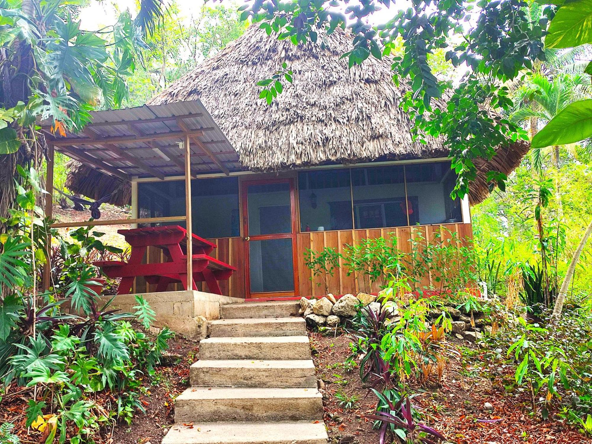 Maya Mountain Lodge Сан-Игнасио Экстерьер фото