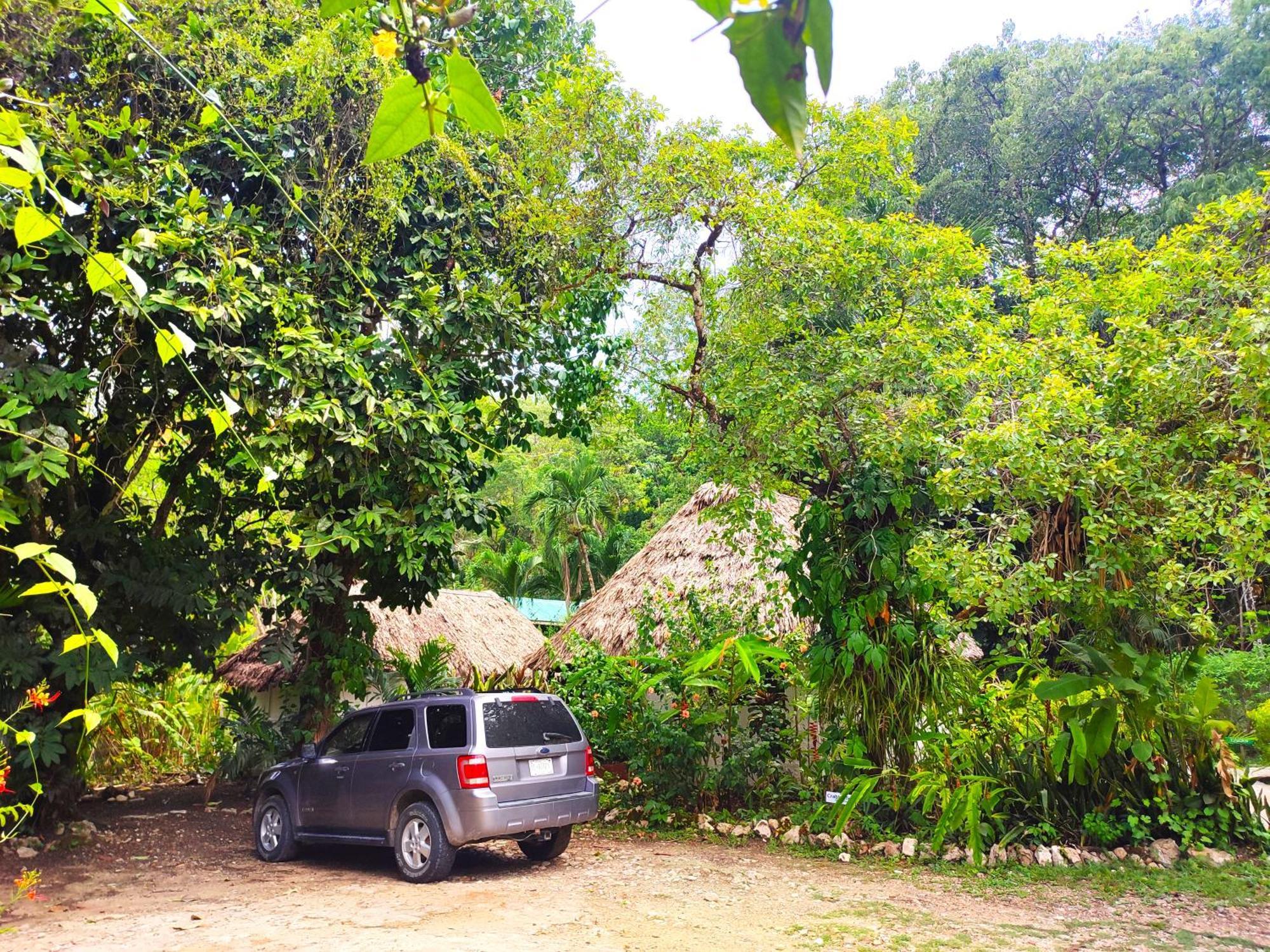 Maya Mountain Lodge Сан-Игнасио Экстерьер фото