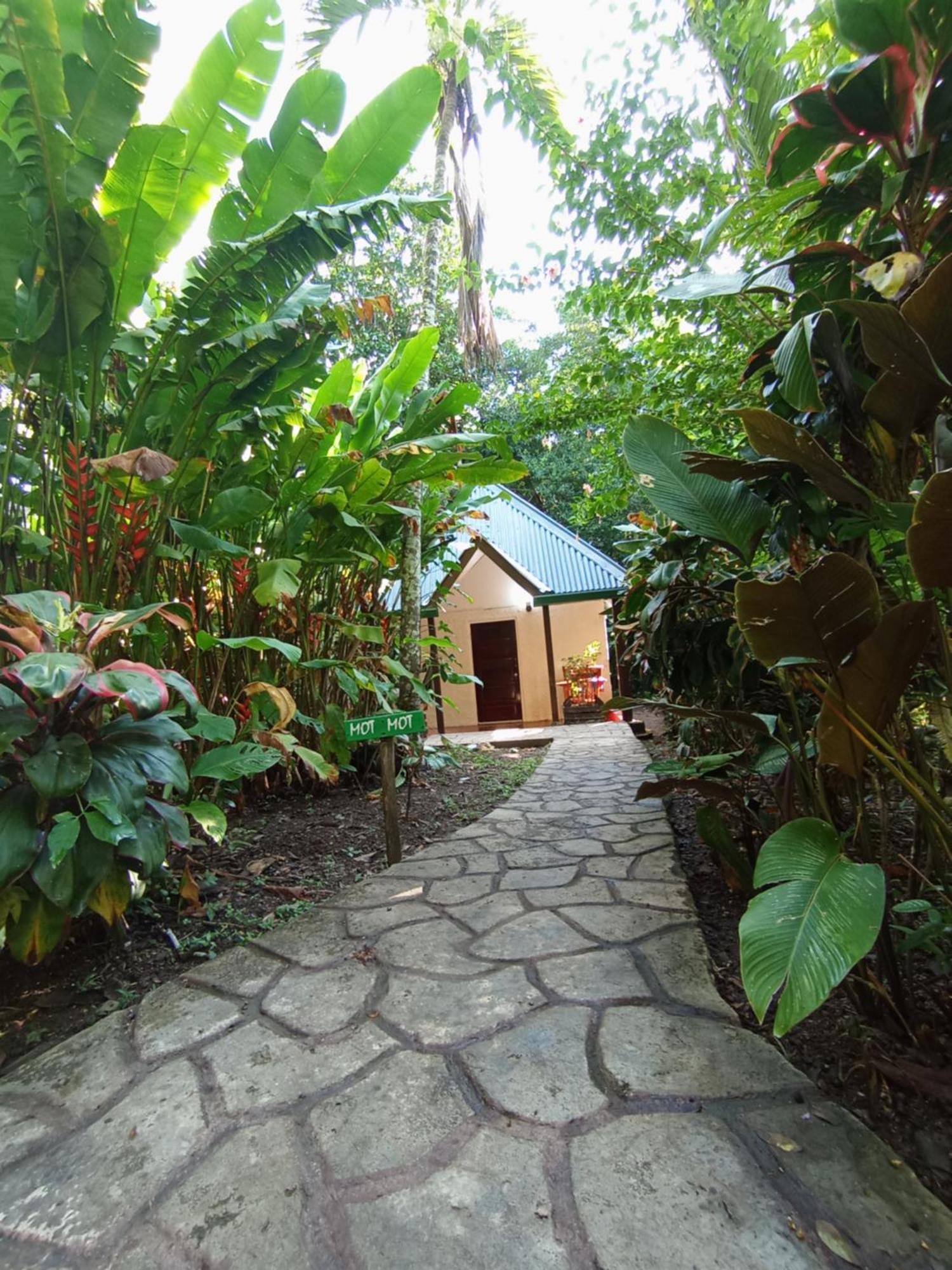Maya Mountain Lodge Сан-Игнасио Экстерьер фото